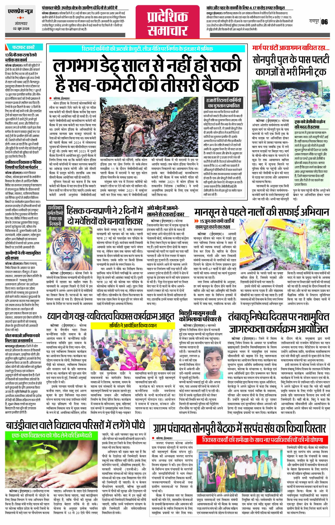 Page 6