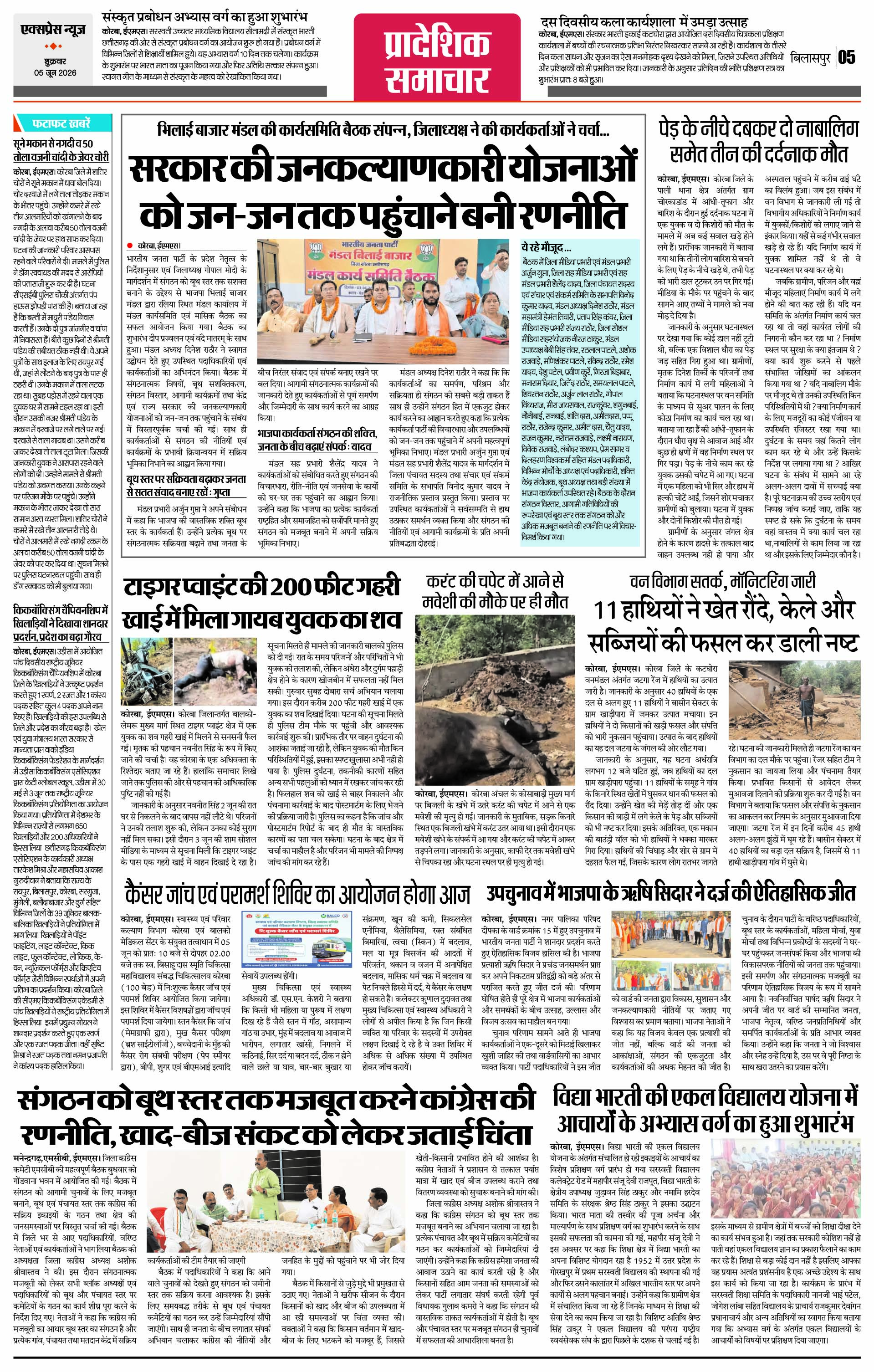 Page 5