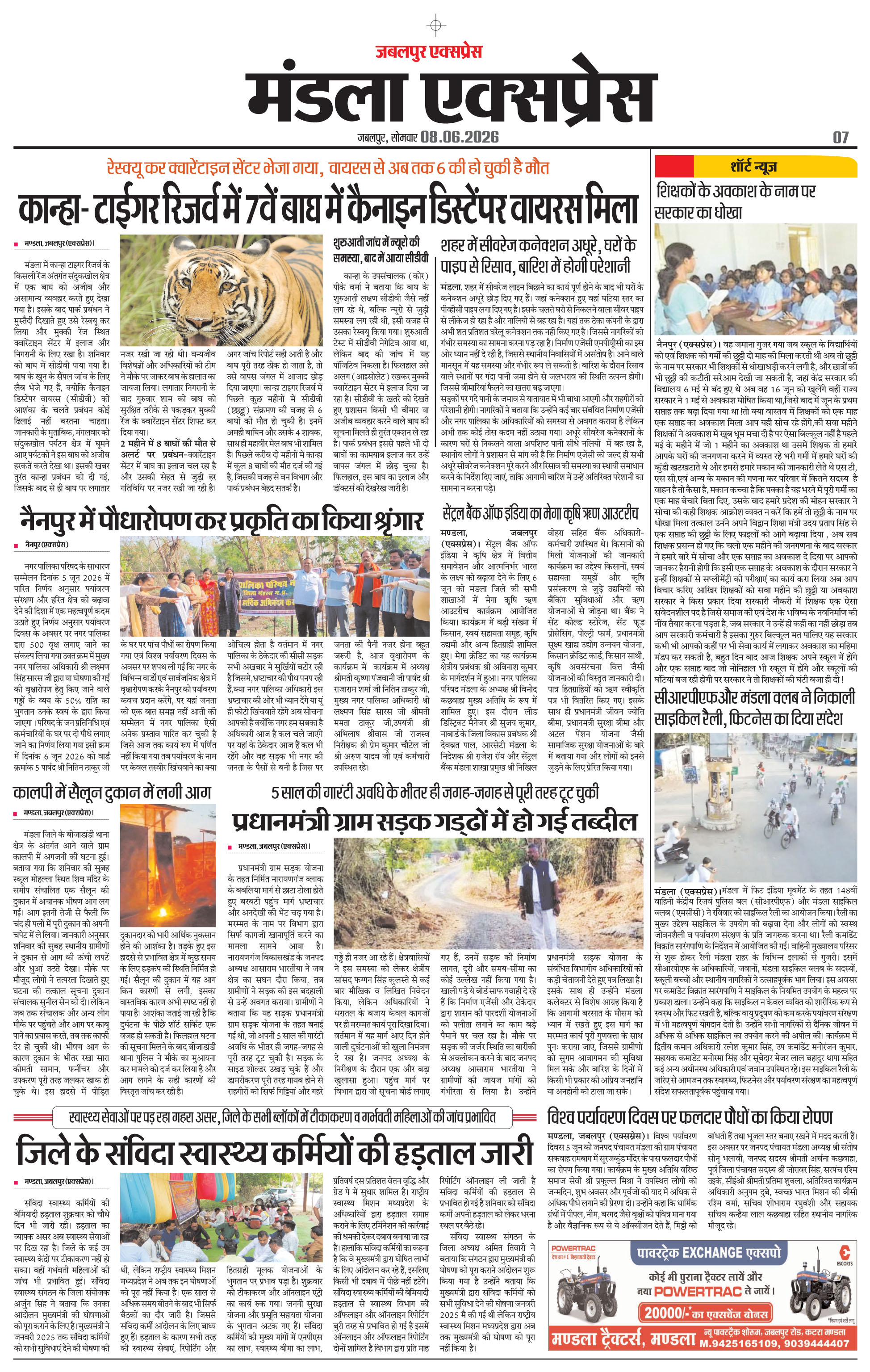 Page 7
