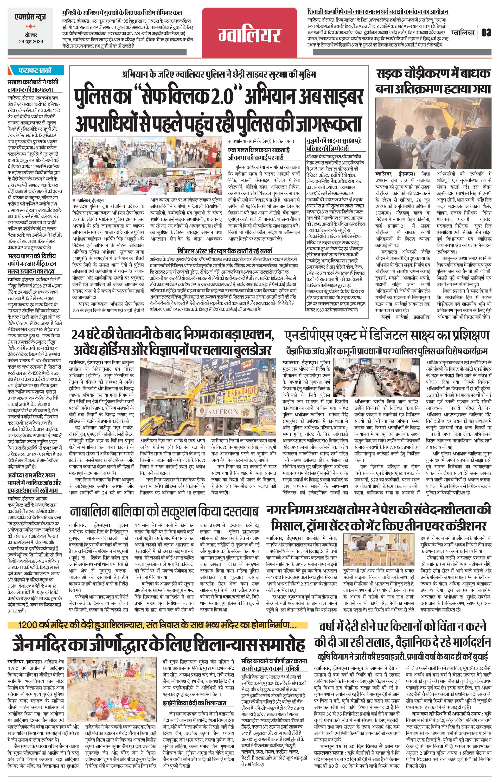 Page 3