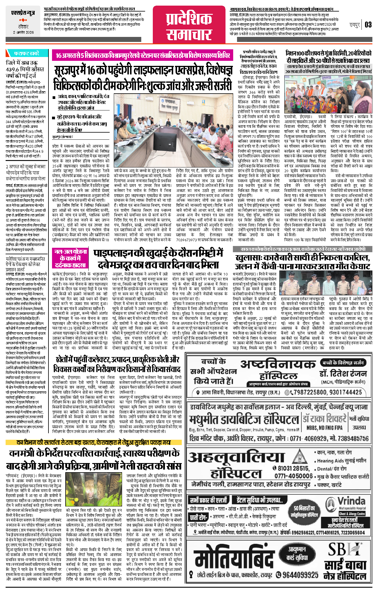 Page 3