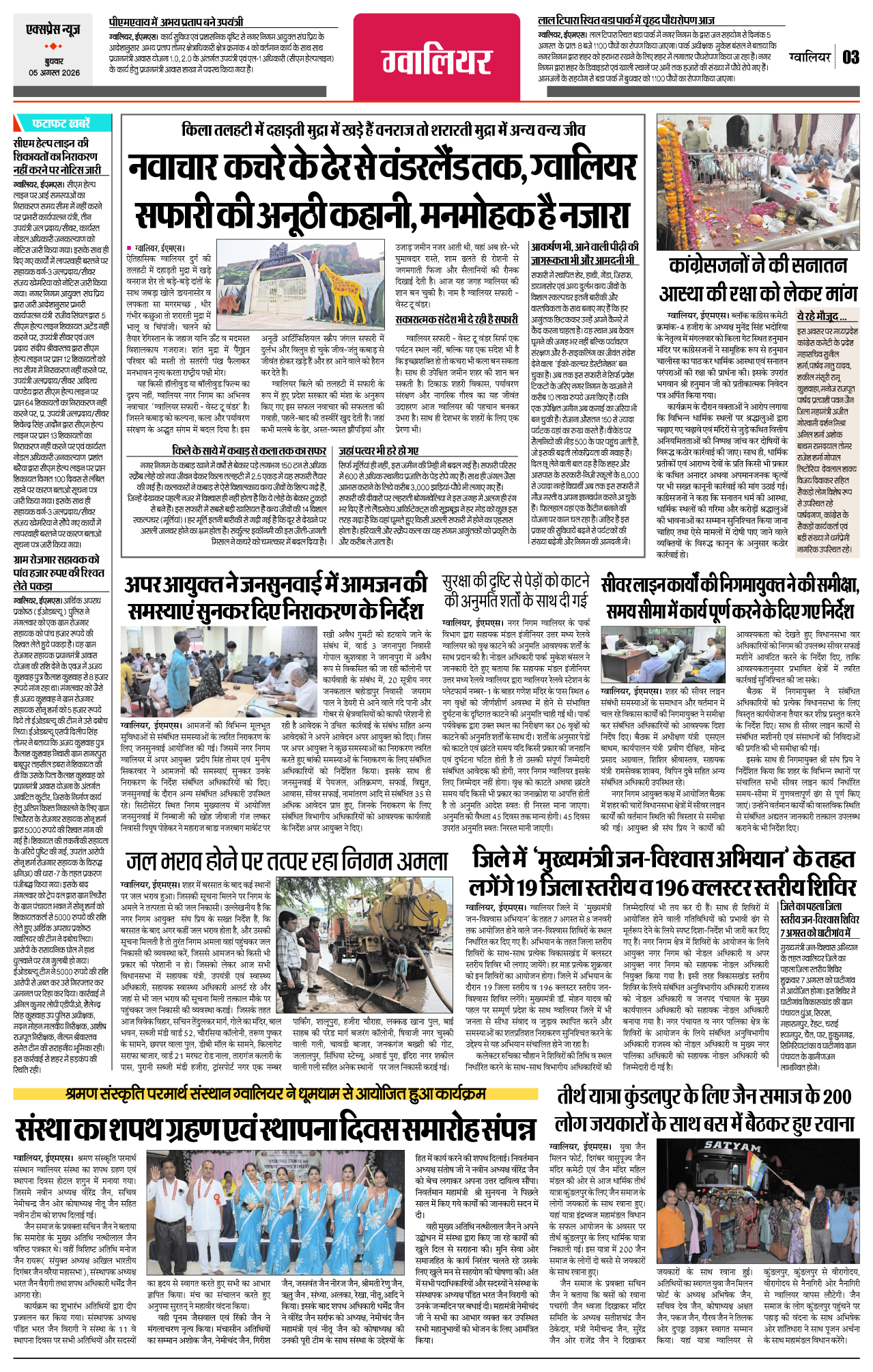 Page 3