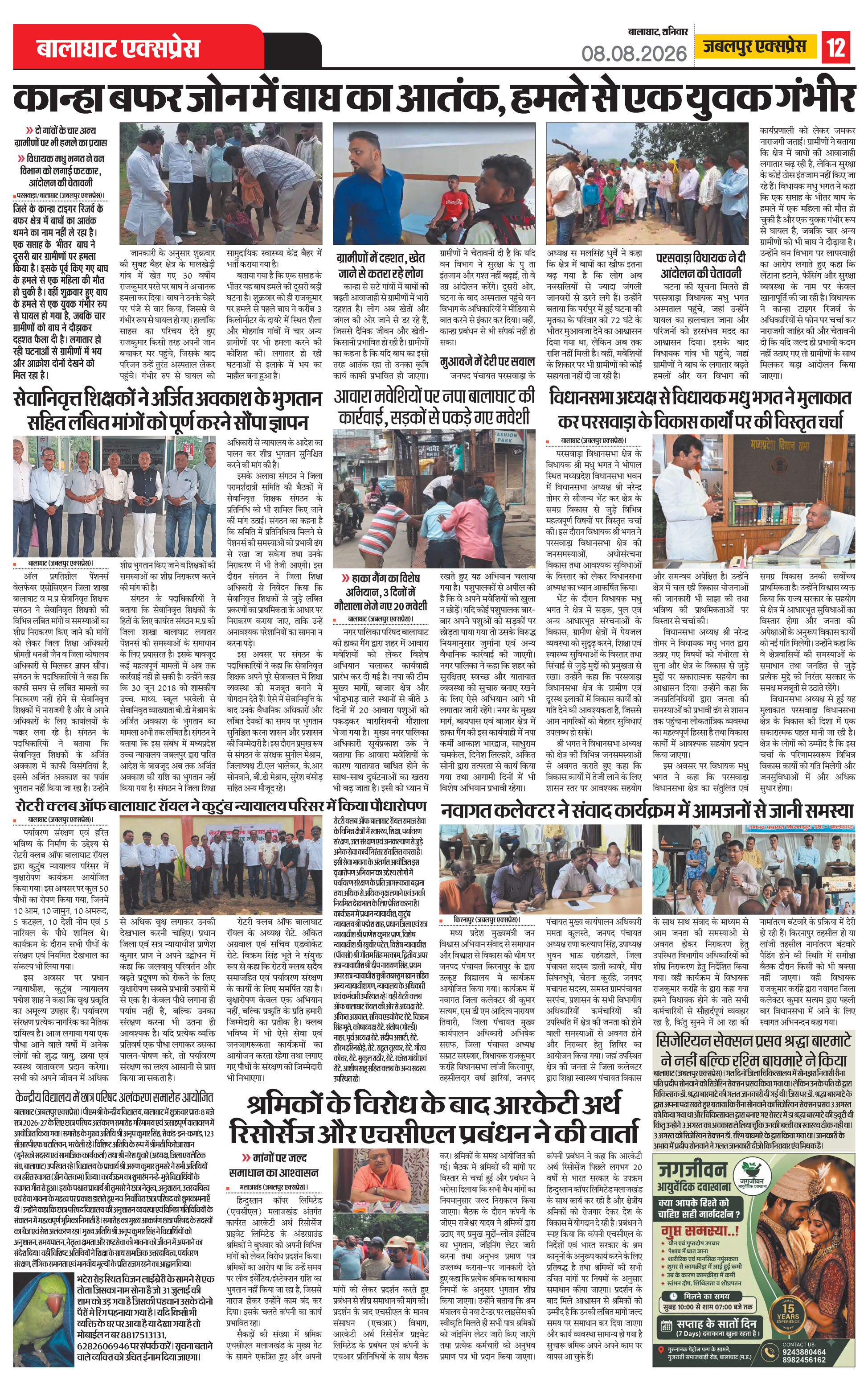 Page 12
