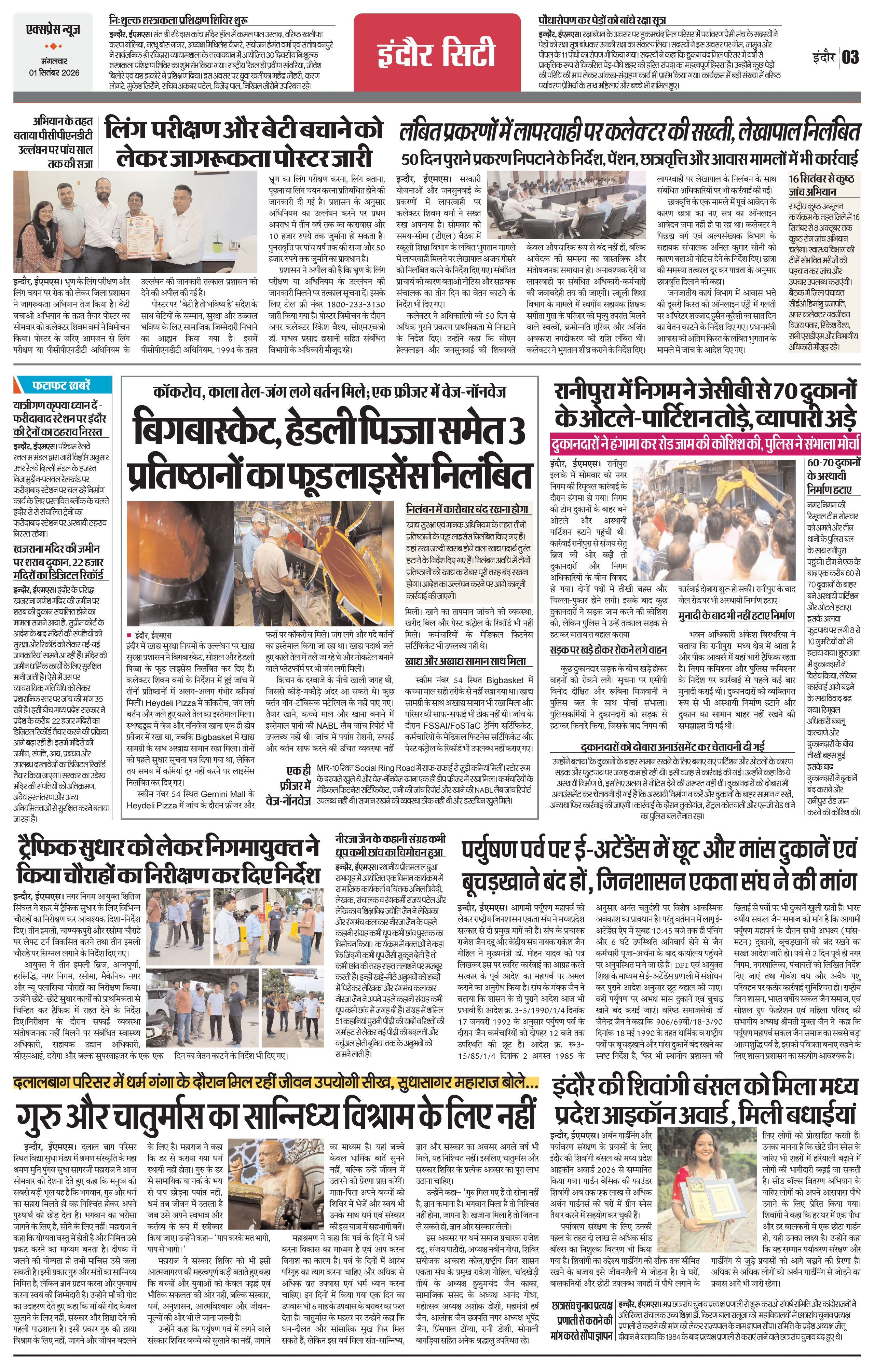 Page 3