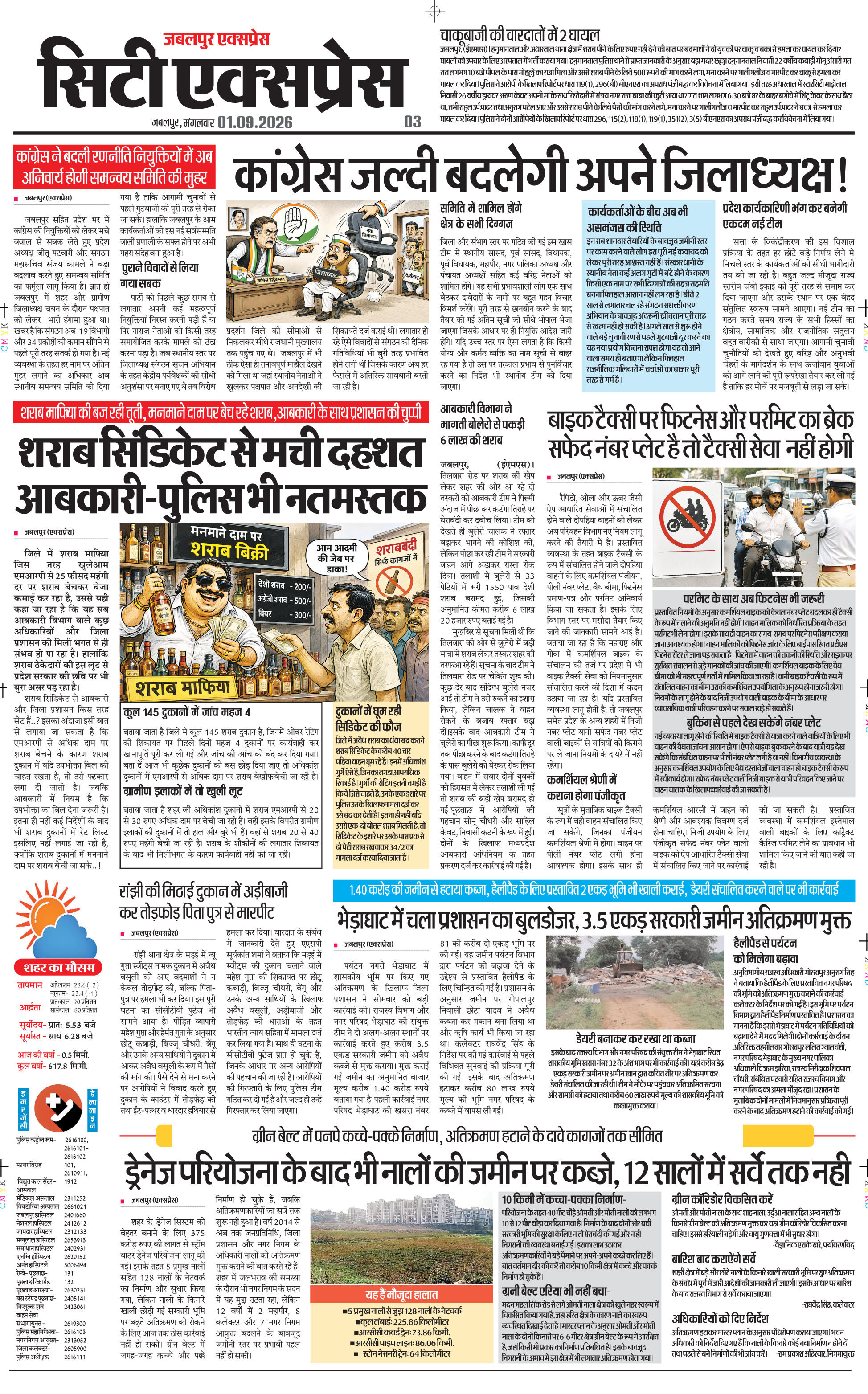 Page 3