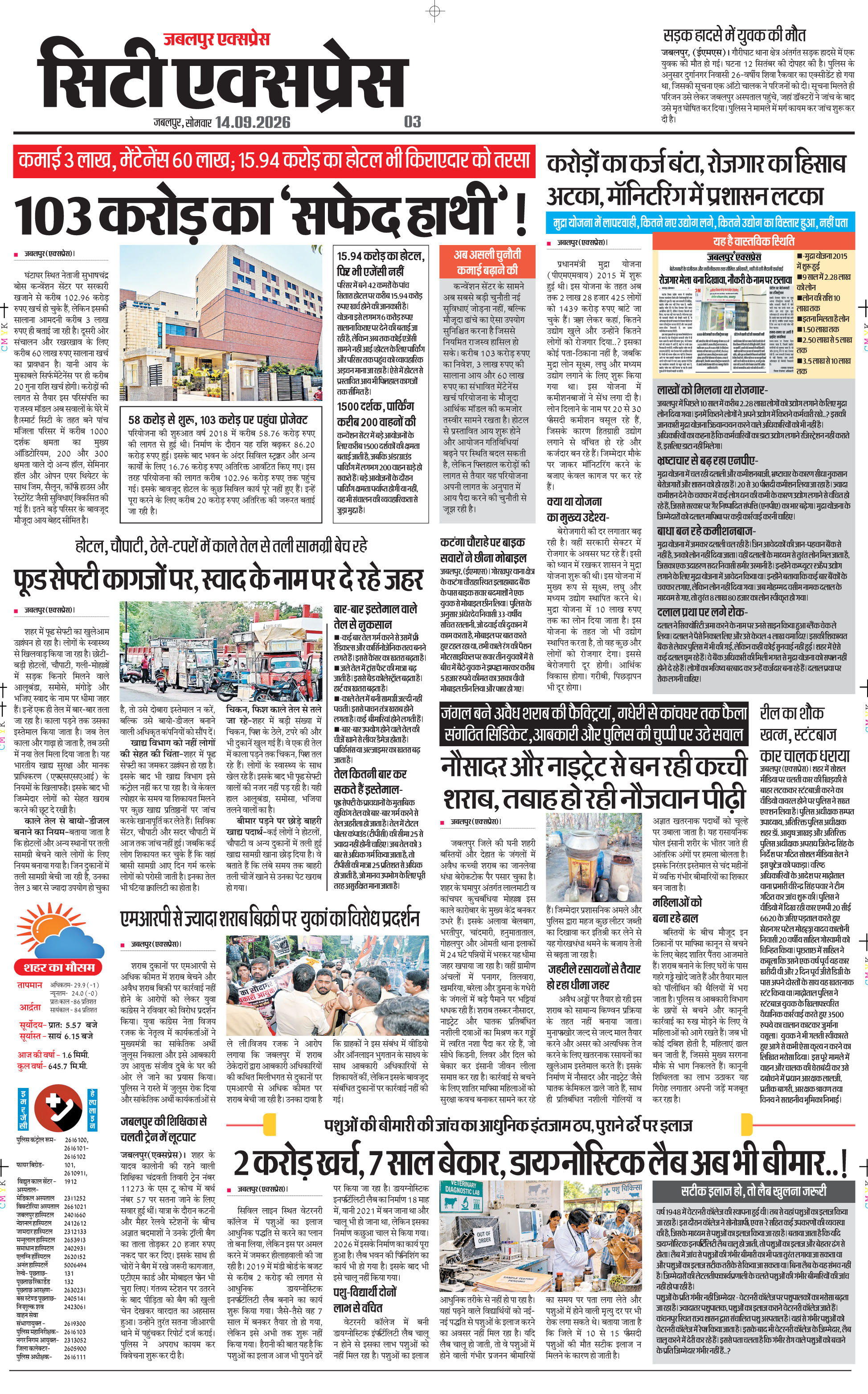 Page 3