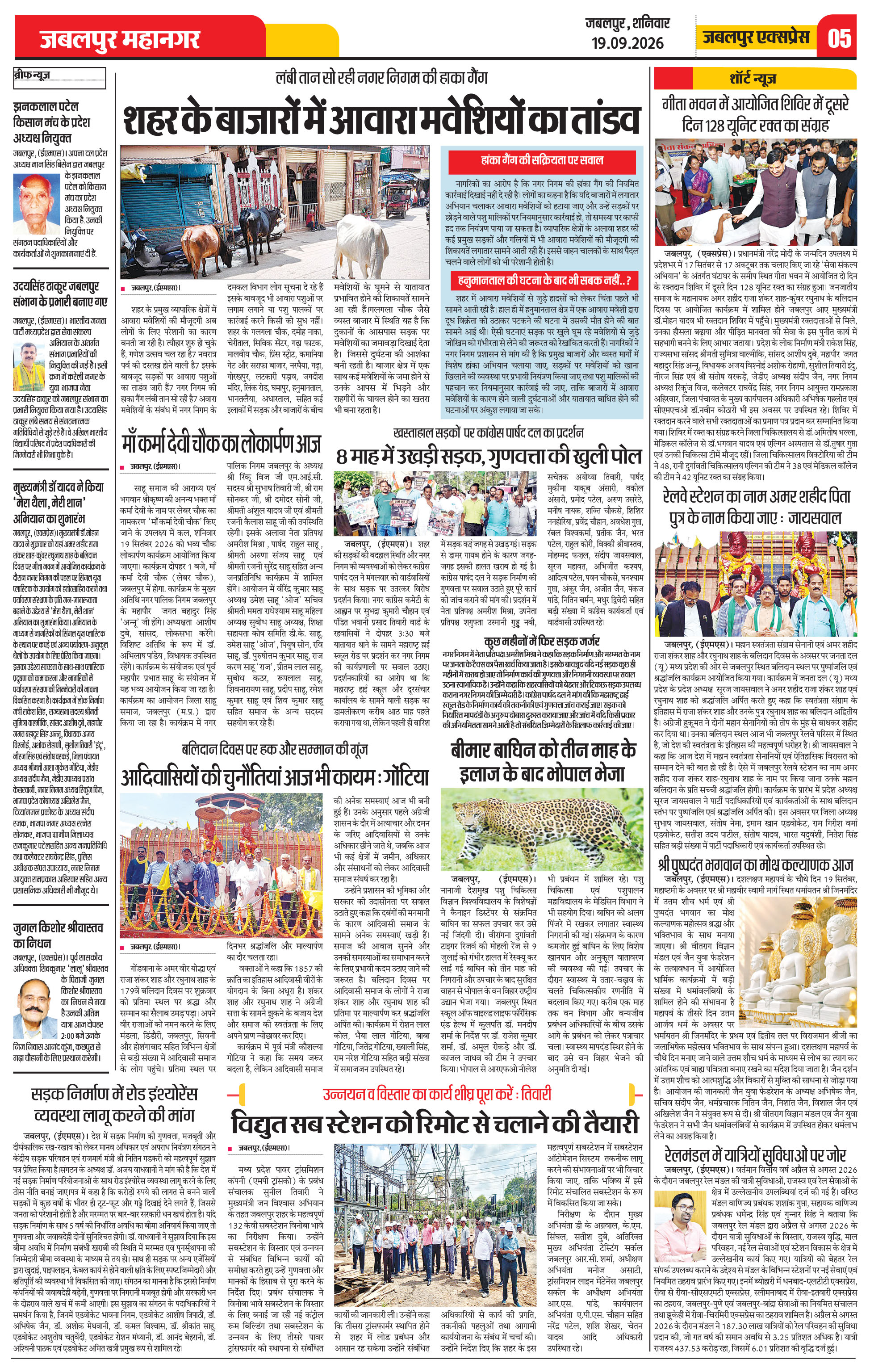 Page 5