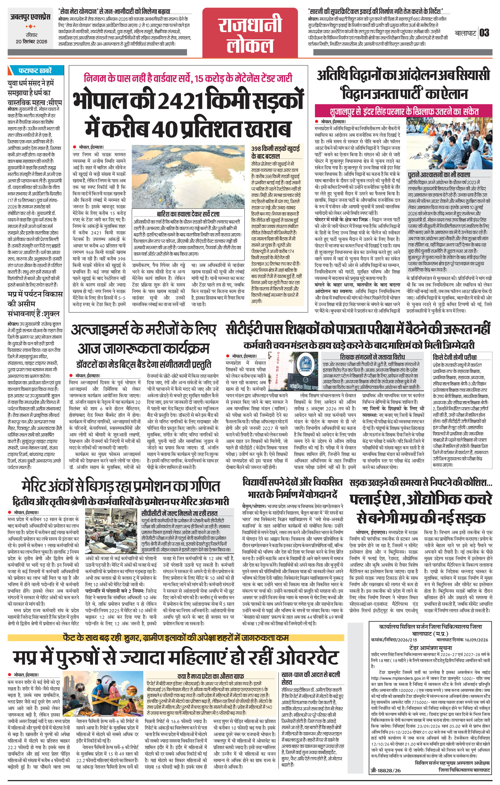Page 3