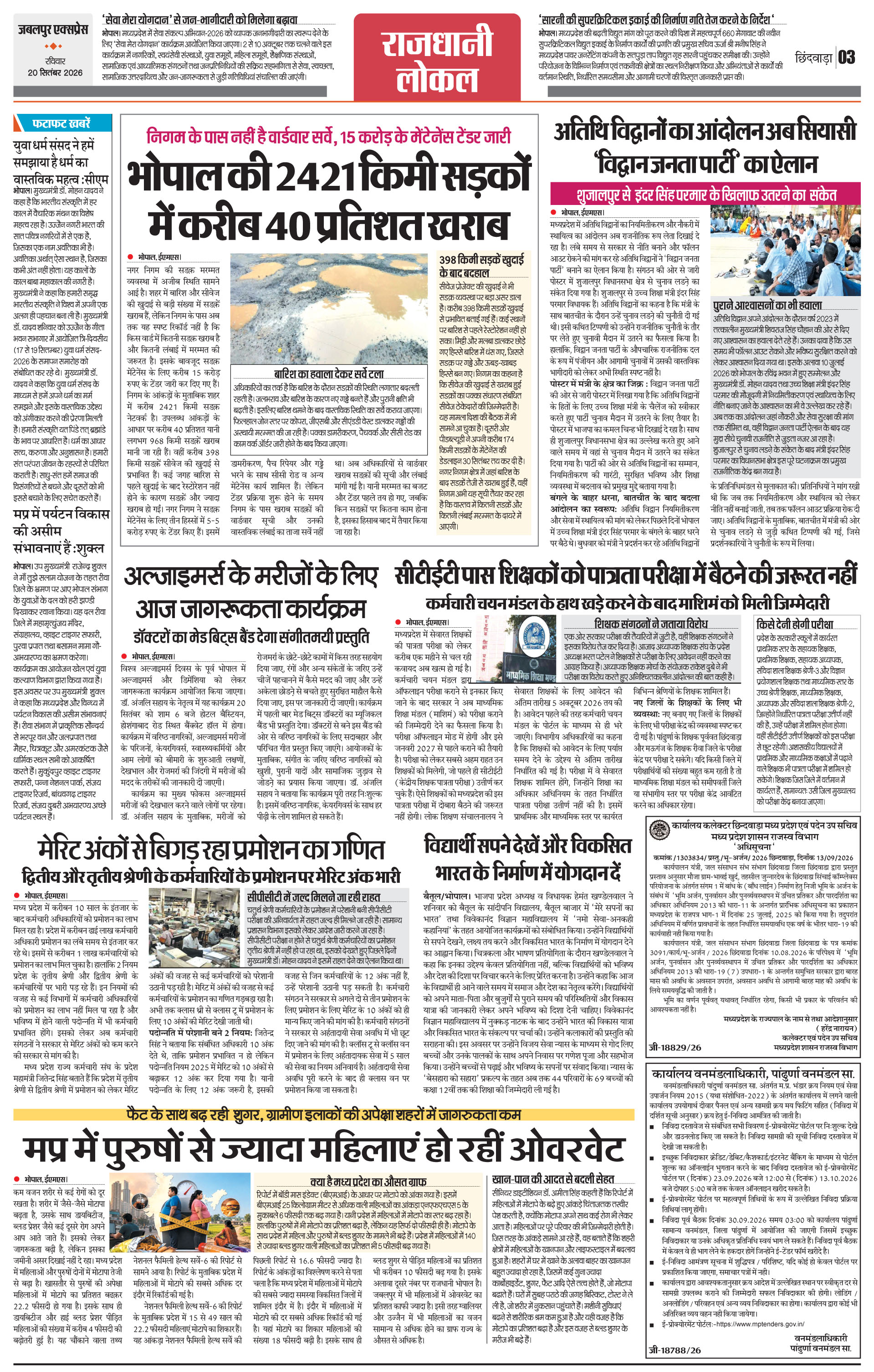 Page 3