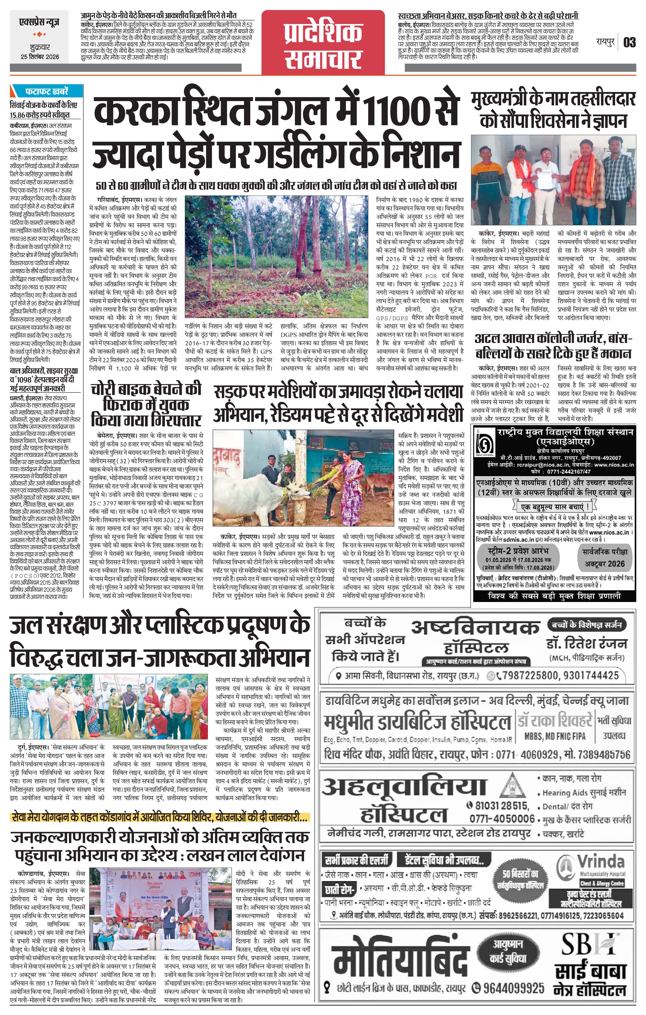 Page 3