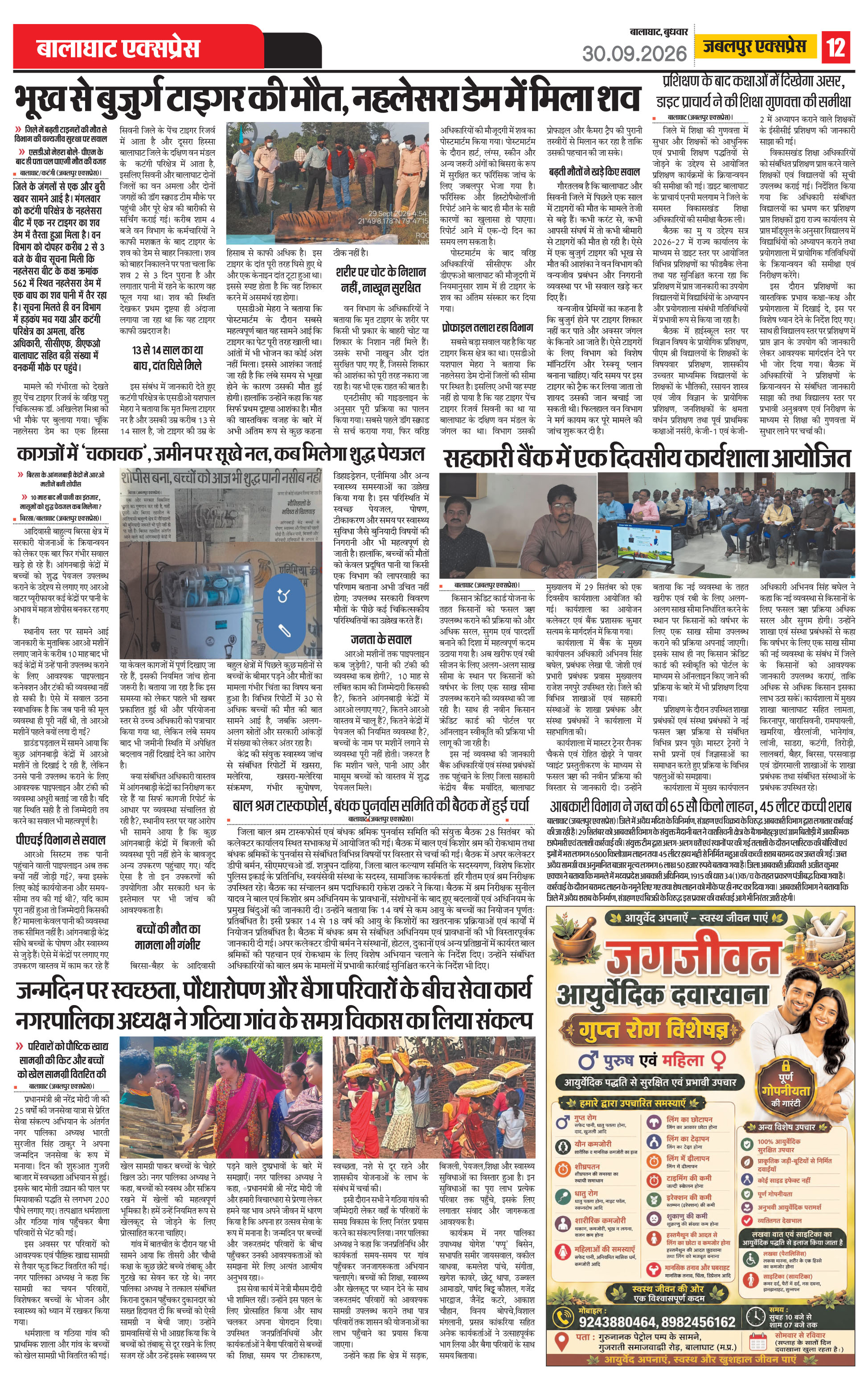 Page 12