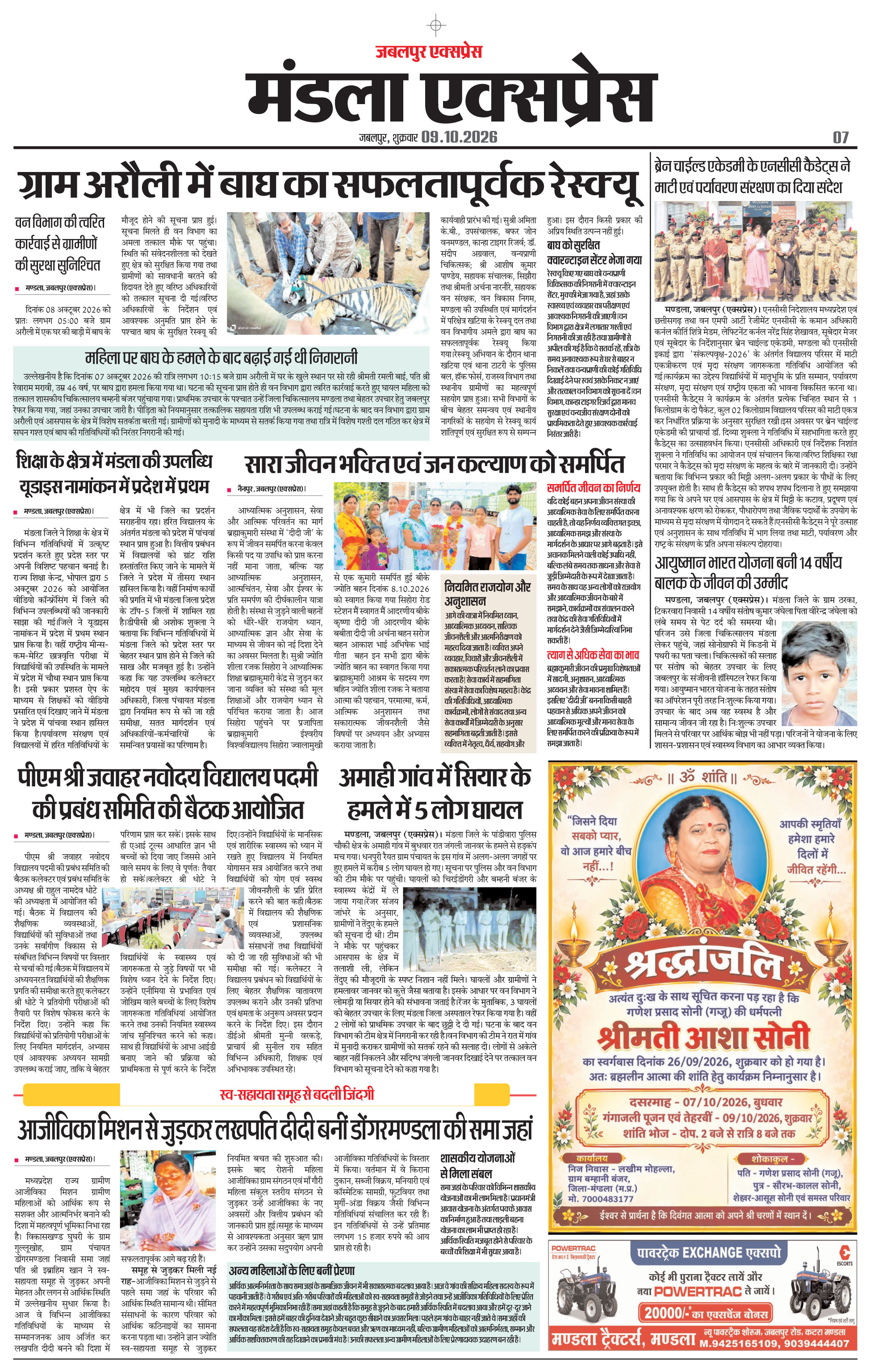 Page 7