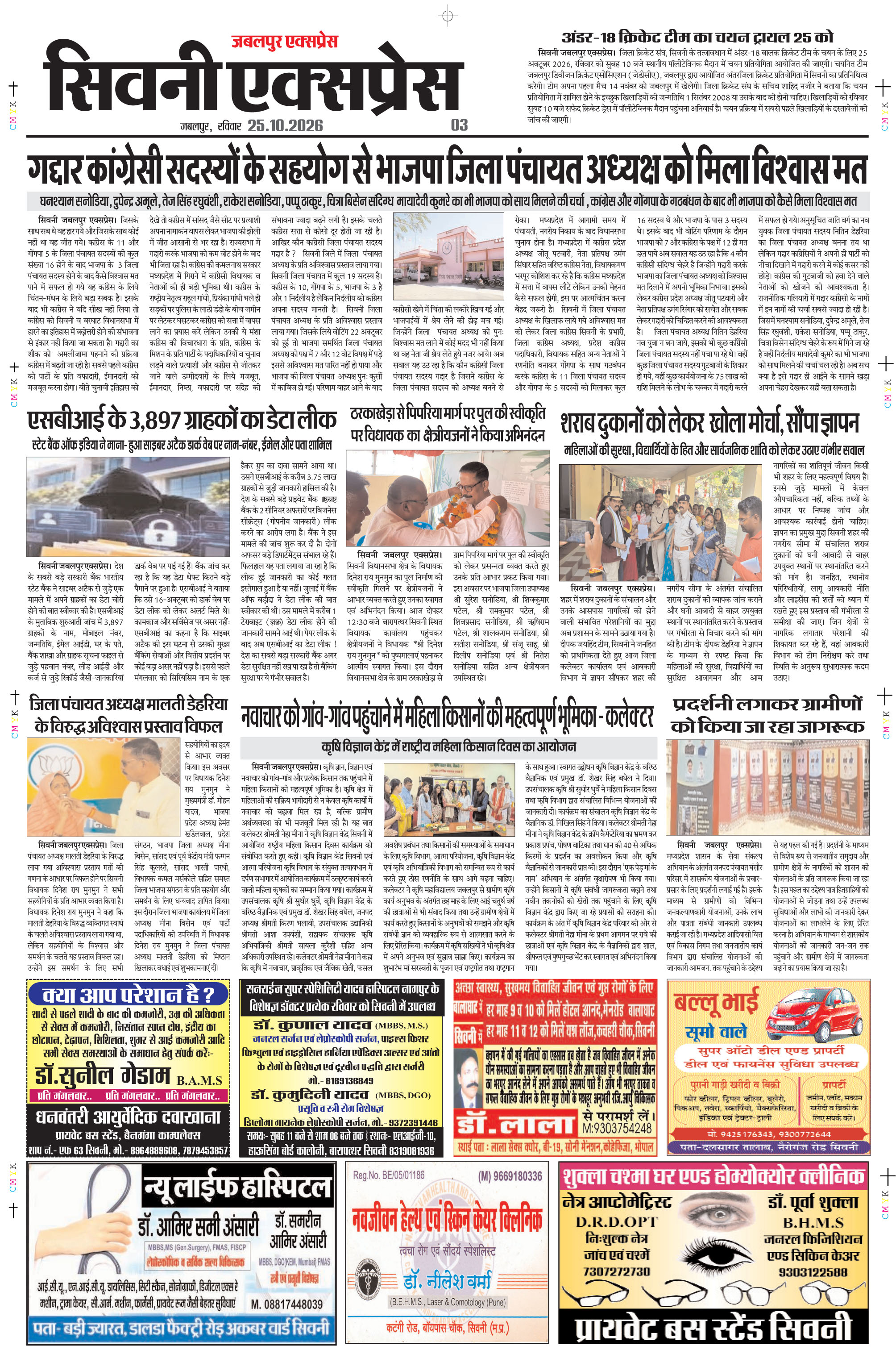 Page 3
