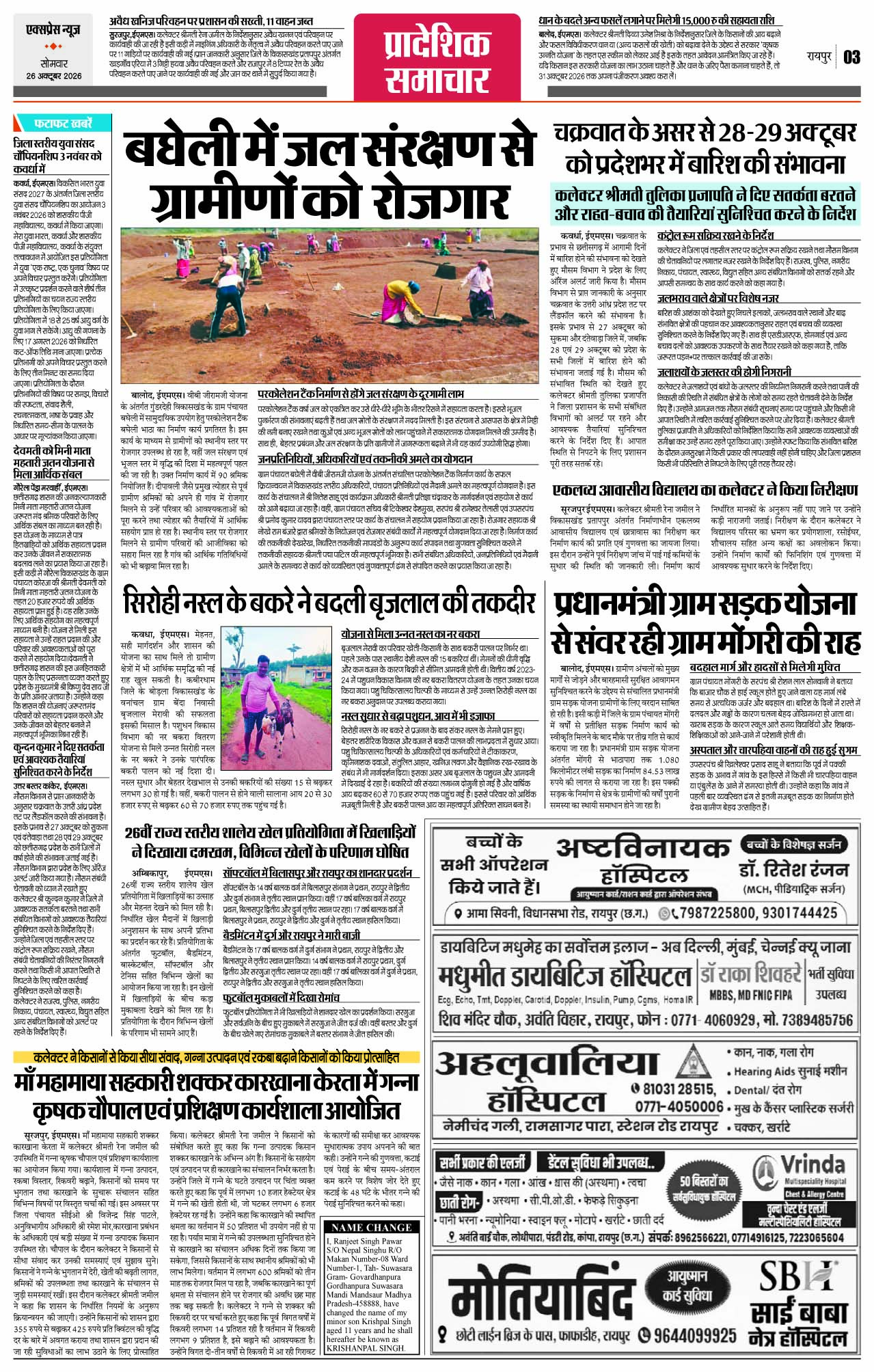 Page 3